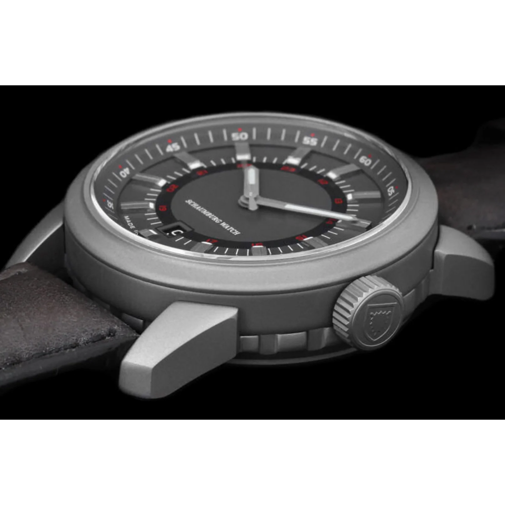 SCHAUMBURG WATCH AQM Bullfrog - Image 3